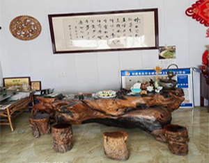 環(huán)境展示
